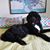 Christine Boruta Garver's profile image