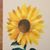 Christie Harton Cady's profile image