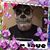 Robert Aegerter's profile image