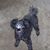 Julie Ross Churchill Funk's profile image