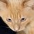 Mike Leighty's profile image
