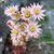 Debby Mullert's profile image