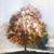 Yana Poulson's profile image