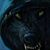 Angie Lightle's profile image