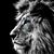 Leon Cesar Acosta's profile image