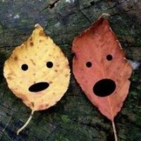 Jen Williams's profile image
