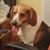 Sharon Silverman's profile image