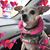 Cynthia Carroll's profile image