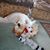 Eileen Sickles's profile image