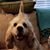 Cheryl Cothren's profile image