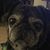 Randi Cheek's profile image