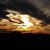 Annalise Lisa Herrick's profile image
