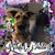 Monica Balderrama's profile image