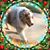 Tamme Ludwick's profile image