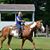 Wendy Malley Stokes's profile image