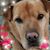 Becky Walkerow's profile image