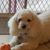 Karen A. Perkins's profile image