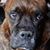 Doug DeVoy's profile image