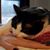Nicole Bassham's profile image