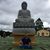 Eduardo Serpa's profile image