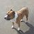 Jaime A. Marrero's profile image