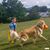 Devon Sipe's profile image