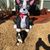 Gary Strawder's profile image