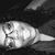 Dedra Carson's profile image