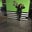 Katia Puente's profile image