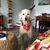 Ingrid Canepa's profile image