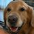 Scott Boutwell's profile image