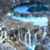 Rhonda Jackson Crosby's profile image