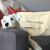 Stacy Spilman Pontius's profile image