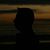 Adrian Rios's profile image