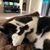 Rita Nolind's profile image