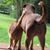 Angie Sweet's profile image