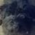 Beverly Simerson's profile image