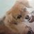 Sheila Buffett's profile image
