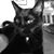 Kay Winch's profile image