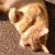Nancy L. Welch's profile image