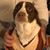 Denice Shuba's profile image