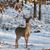 Rick Lescher's profile image