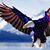 Brent Hargrave's profile image