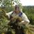 Cindy Ann Stanfield's profile image