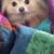 Debbi Hinman Haas's profile image