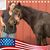 Teri Albano's profile image