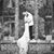 Shannon Stone Parke's profile image