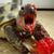 Cory Mariner's profile image
