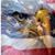 Dana Gelinas's profile image
