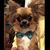 Joe Mark's profile image